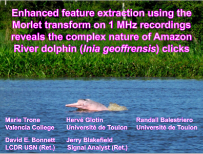 Enhanced feature extraction using the Morlet transform on 1 MHz recordings reveals the complex nature of Amazon River dolphin (Inia geoffrensis) clicks