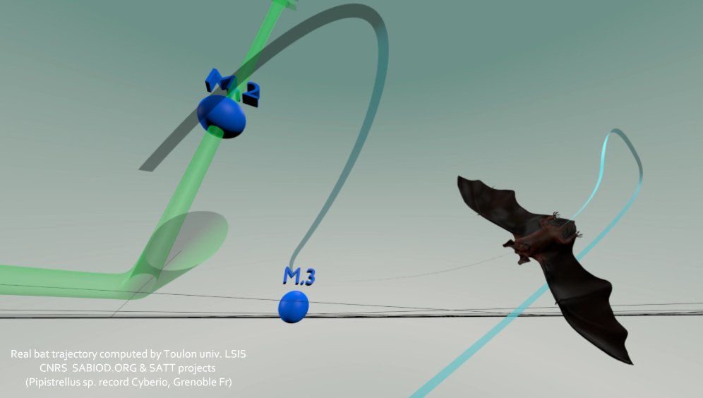 animation des calculs de suivi d'une vraie chauve souris